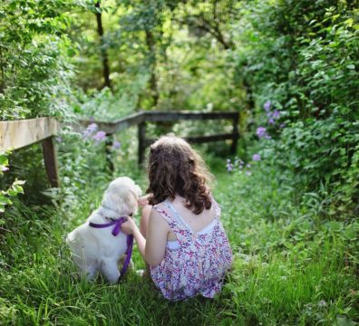child, dog, pet