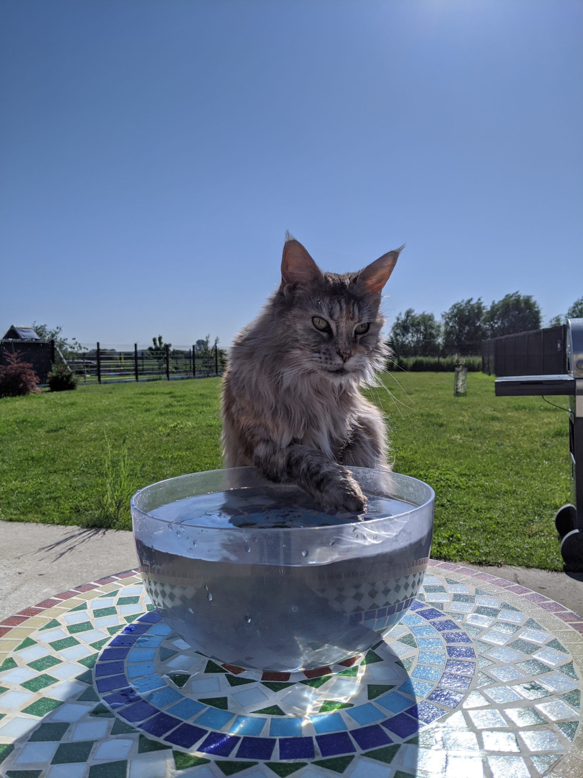 Dev eau Dev eau